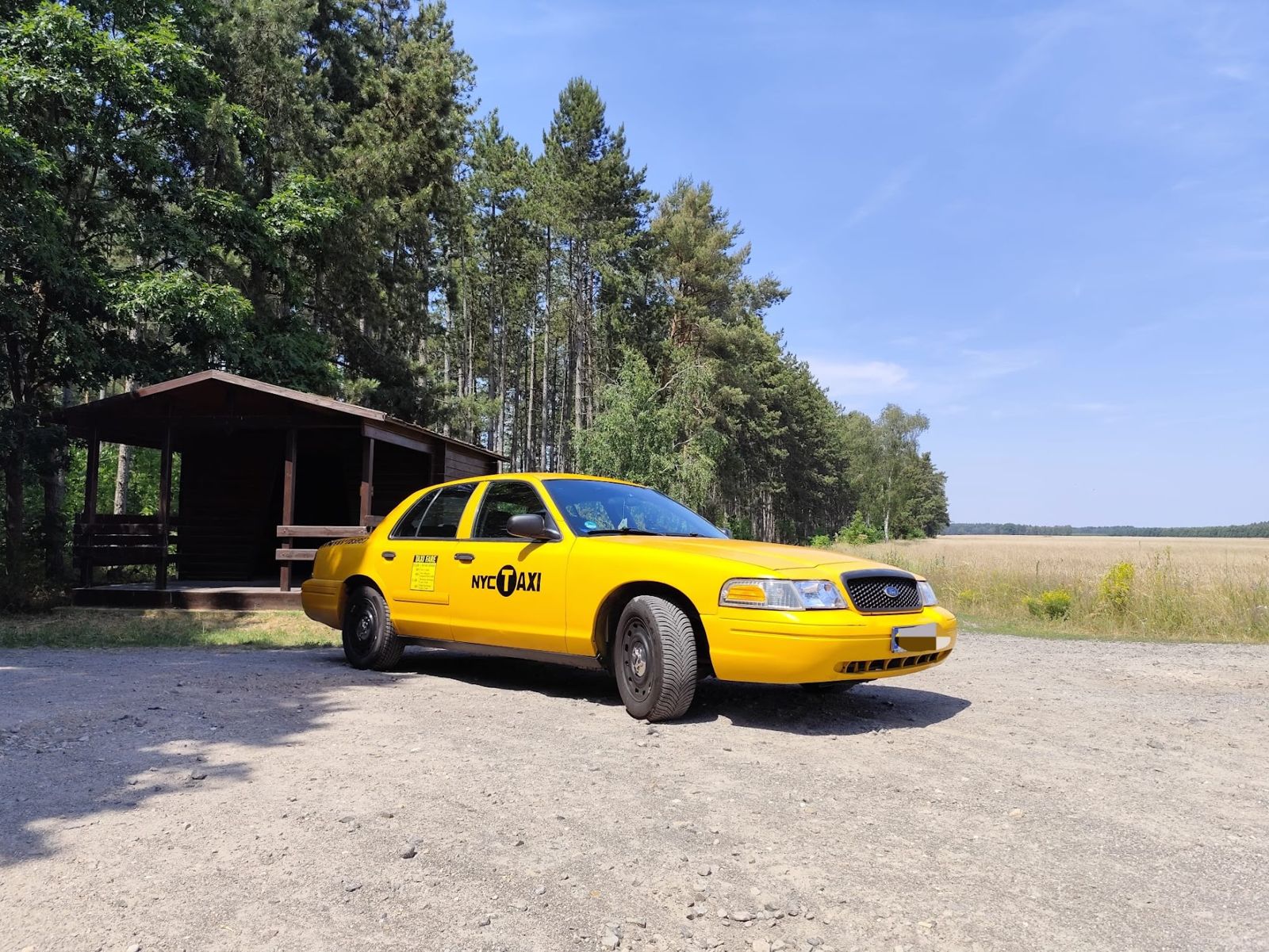 Das gelbe New-York-Taxi von USCARHERO in der Sonne vor Bäumen