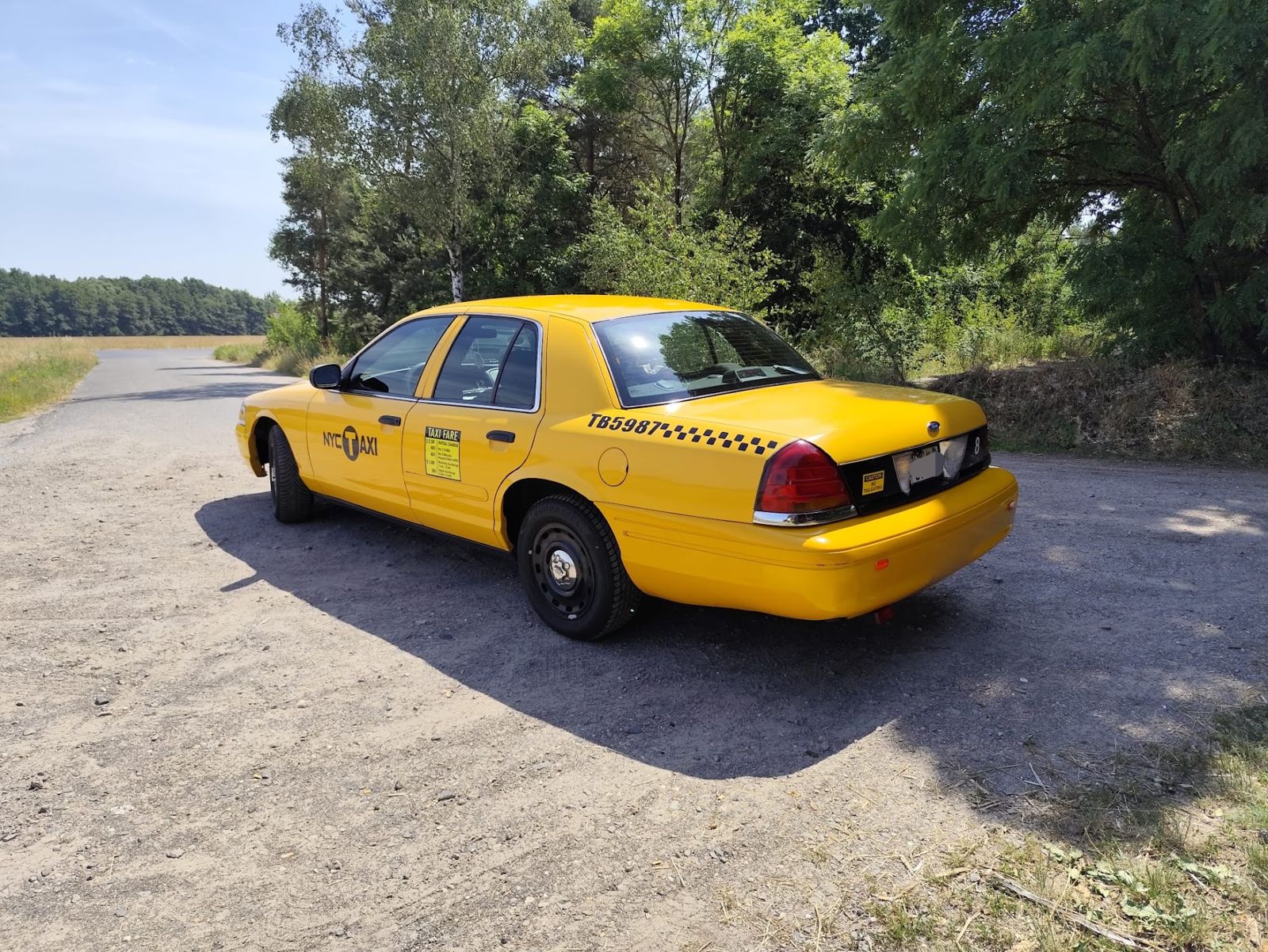 Das Taxi schräg von hinten am Waldrand